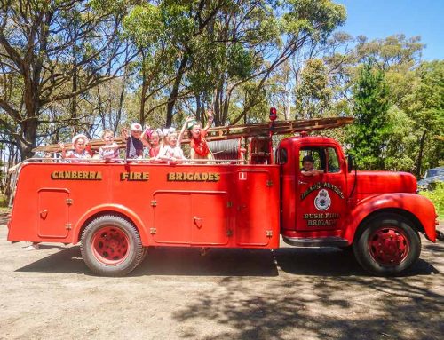 What is Lorem Ipsum?