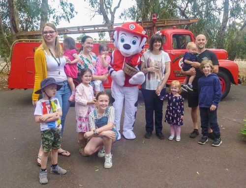 Where does it come from?